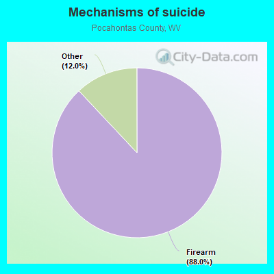 Mechanisms of suicide