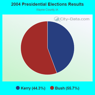 2004 Presidential Elections Results