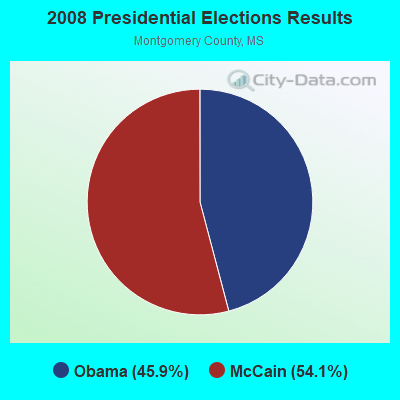 2008 Presidential Elections Results