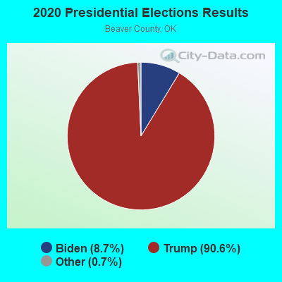 2020 Presidential Elections Results