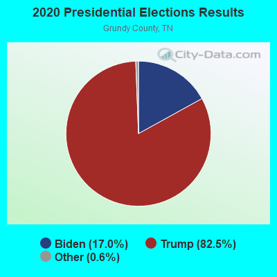 2020 Presidential Elections Results