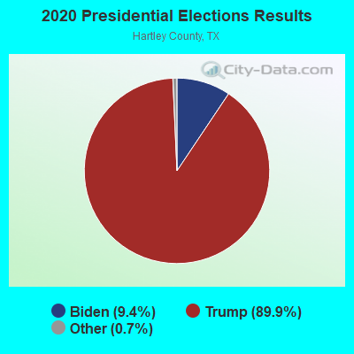 2020 Presidential Elections Results