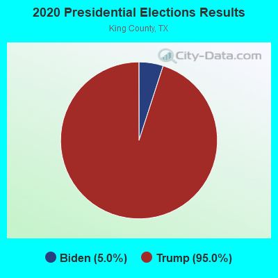 2020 Presidential Elections Results