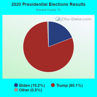 2020 Presidential Elections Results