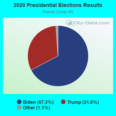 2020 Presidential Elections Results