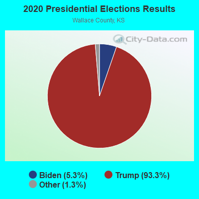 2020 Presidential Elections Results