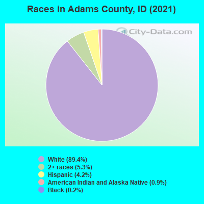 Races in Adams County, ID (2022)