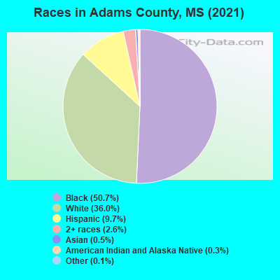 Races in Adams County, MS (2022)