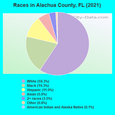 Races in Alachua County, FL (2021)