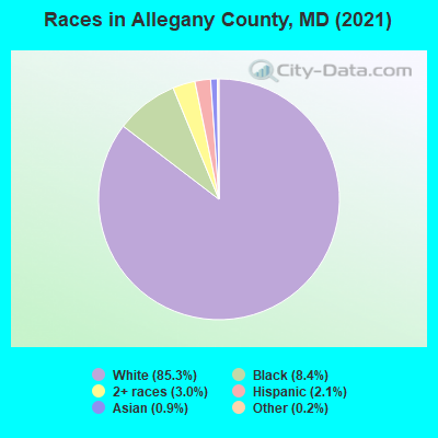 Races in Allegany County, MD (2019)