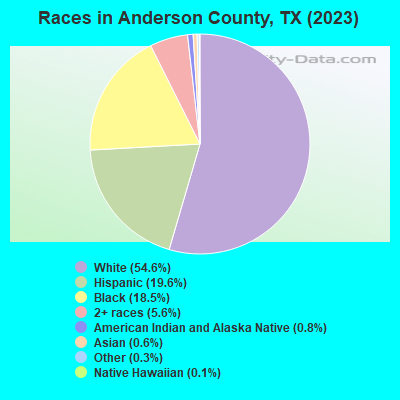 Races in Anderson County, TX (2021)