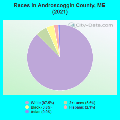 Races in Androscoggin County, ME (2019)