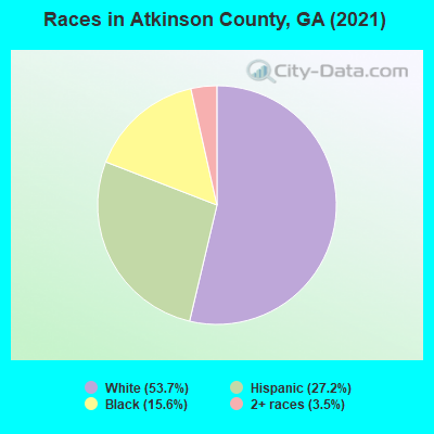 Races in Atkinson County, GA (2021)
