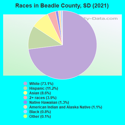 Races in Beadle County, SD (2022)