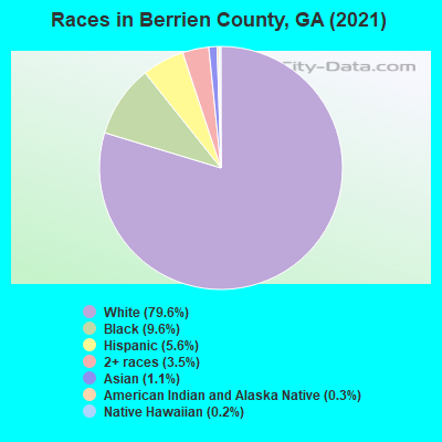 Races in Berrien County, GA (2019)