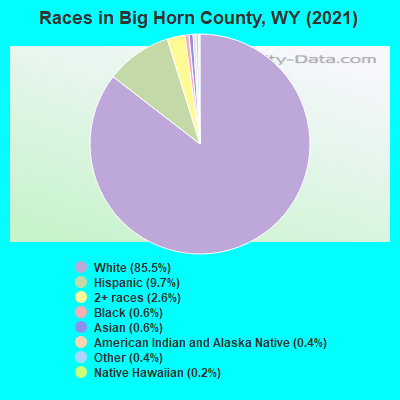 Races in Big Horn County, WY (2022)