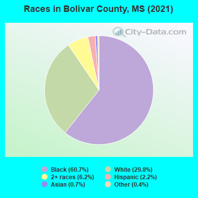 Races in Bolivar County, MS (2019)