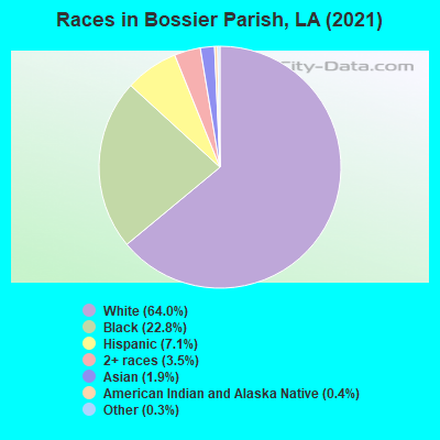 Races in Bossier Parish, LA (2019)