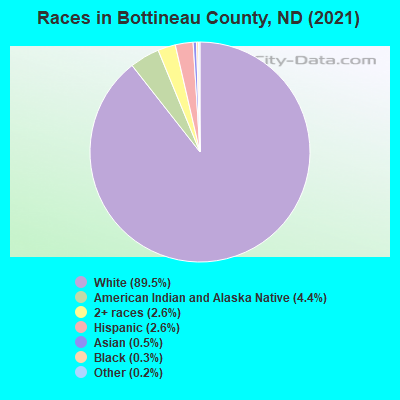 Races in Bottineau County, ND (2021)