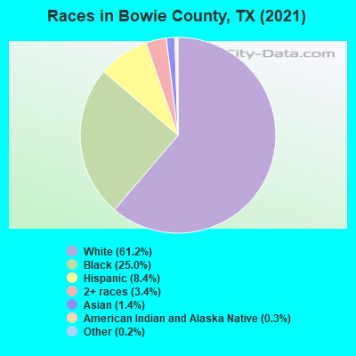 Races in Bowie County, TX (2022)