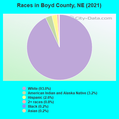 Races in Boyd County, NE (2022)