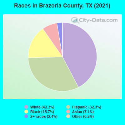 Races in Brazoria County, TX (2021)