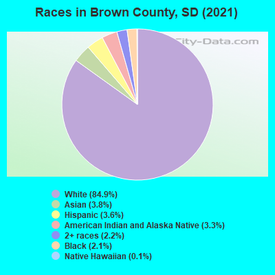 Races in Brown County, SD (2019)