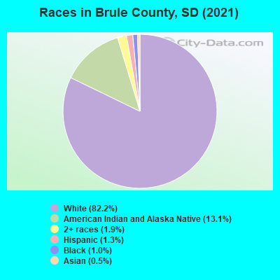 Races in Brule County, SD (2019)