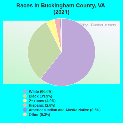 Races in Buckingham County, VA (2022)