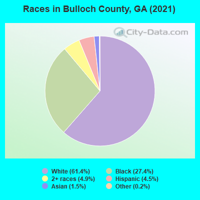 Races in Bulloch County, GA (2022)