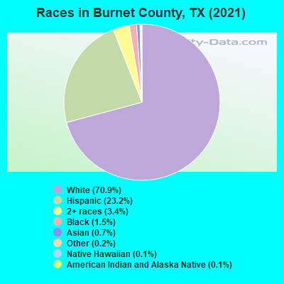 Races in Burnet County, TX (2021)