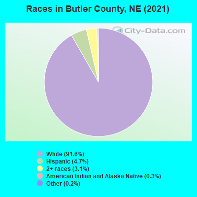 Races in Butler County, NE (2022)