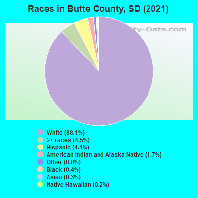 Races in Butte County, SD (2019)