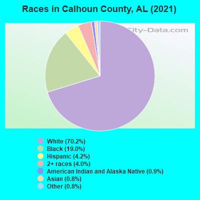 Races in Calhoun County, AL (2022)