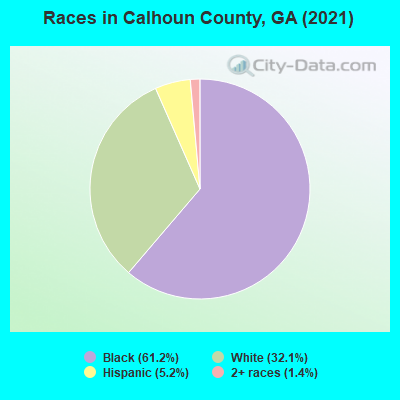 Races in Calhoun County, GA (2021)