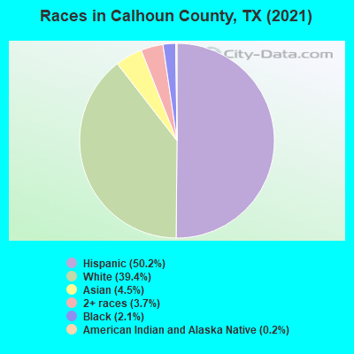 Races in Calhoun County, TX (2022)