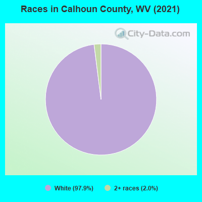 Races in Calhoun County, WV (2022)