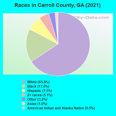 Races in Carroll County, GA (2022)