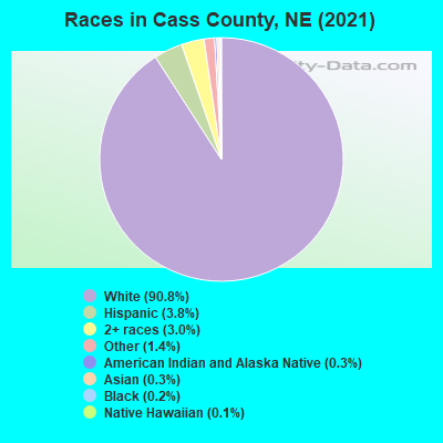 Races in Cass County, NE (2019)