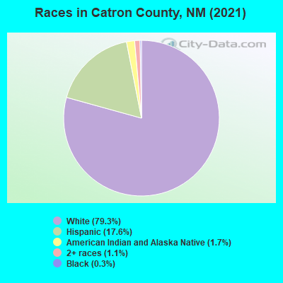 Races in Catron County, NM (2021)