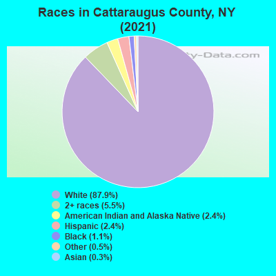 Races in Cattaraugus County, NY (2022)