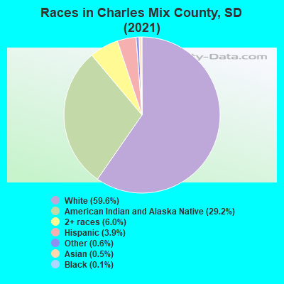 Races in Charles Mix County, SD (2019)