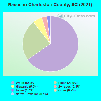 Races in Charleston County, SC (2022)