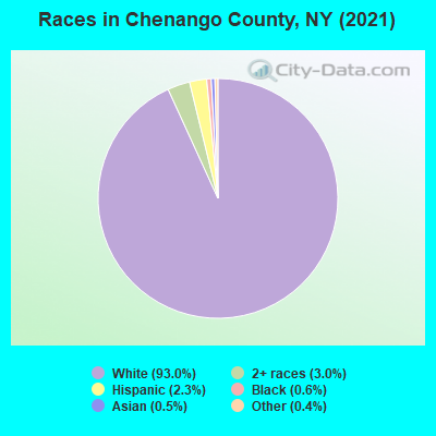 Races in Chenango County, NY (2022)