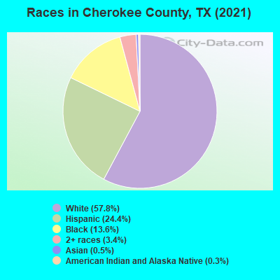 Races in Cherokee County, TX (2022)