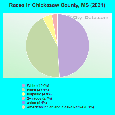 Races in Chickasaw County, MS (2019)