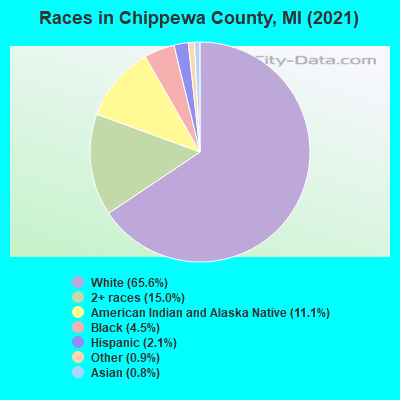 Races in Chippewa County, MI (2022)