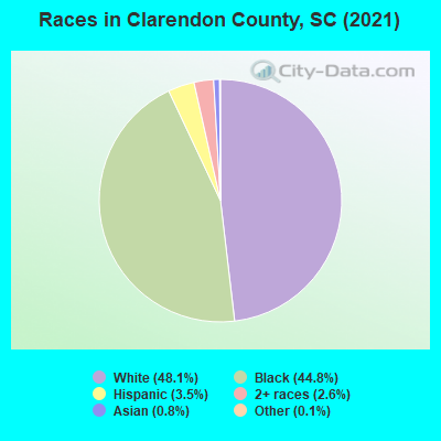 Races in Clarendon County, SC (2021)