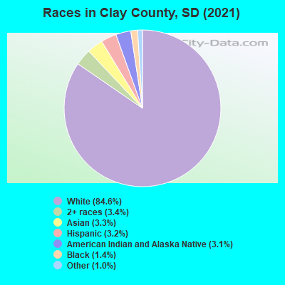 Races in Clay County, SD (2019)