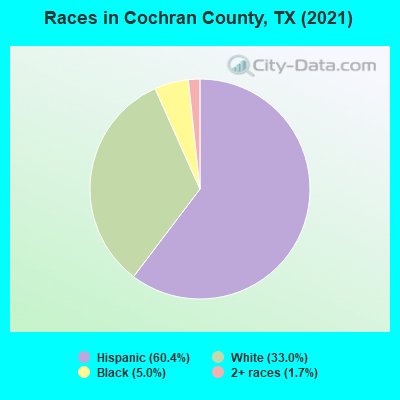 Races in Cochran County, TX (2022)